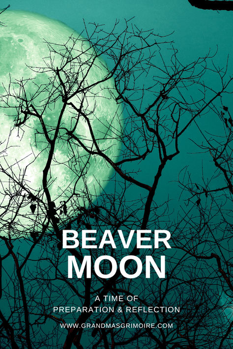 The Beaver Moon: A Time of Preparation and Reflection November Full Moon Ritual, Beaver Moon 2024, November Full Moon 2024, Beaver Moon Ritual, Beaver Full Moon, Full Moon Taurus, Moon Journaling, Full Moon Meaning, Moon Taurus