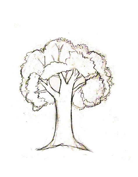 How to draw a tree tutorial Drawing Of A Tree Simple, 3d Tree Drawing, Family Tree Drawing Ideas Easy, How To Draw Family Tree, How To Draw A Tree Step By Step Easy, Tree Drawing Reference, How To Draw A Tree, Three Drawing, Oak Tree Drawings