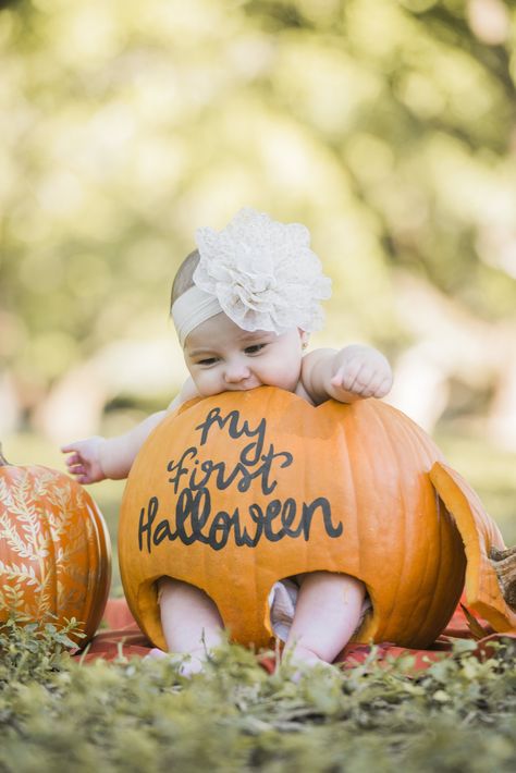 Cute 9 Month Old Halloween Costume, 3month Halloween Photoshoot, 6 Months Halloween Pictures, 6 Month October Photoshoot, 5 Month Halloween Photoshoot, 6 Month Pumpkin Photoshoot, Diy Pumpkin Photo Shoot Baby, 3 Month Old Fall Photoshoot, Fall Baby Shoot Ideas