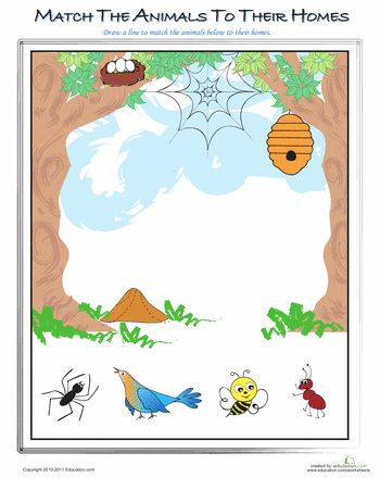 Habitats Worksheets: Match Animals to Their Homes Animals And Their Homes, My Father's World, Printables Free Kids, Young Animal, Preschool Science, Animal Habitats, Science Worksheets, Circle Time, Preschool Learning