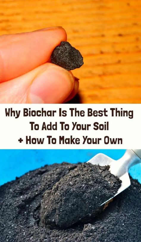 Why Biochar Is The Best Thing To Add To Your Soil + How To Make It Biochar Making, Growing Hacks, Diy Charcoal, Learning Garden, Composting Food Scraps, Farm Management, Diy Compost, Kingdom Plantae, Compost Tea