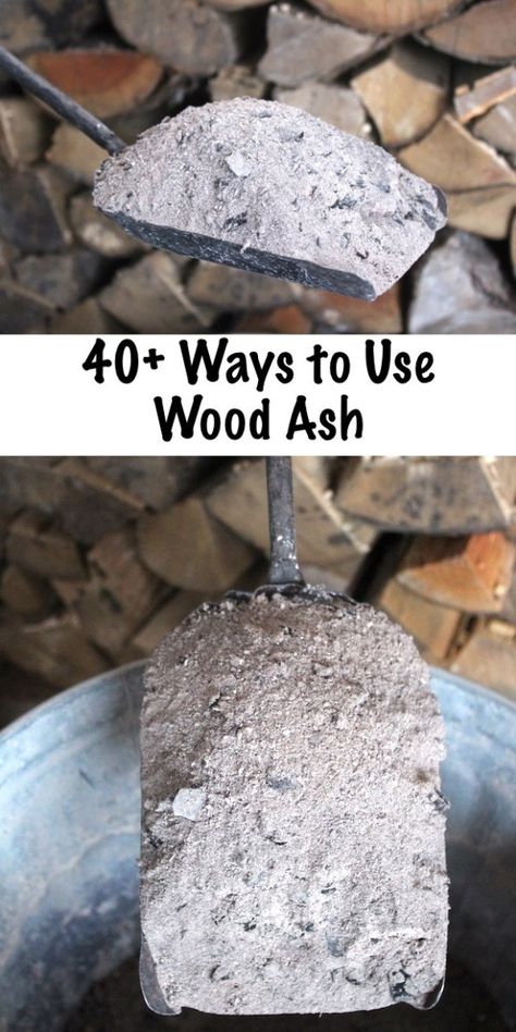 40+ Ways to Use Wood Ash from a Wood Burning Stove ~ Wood Ash Uses for Home, Garden and Survival ~Historical and Modern Uses for Wood Ash Supraviețuire Camping, Wood Ash, Homesteading Skills, Homestead Survival, Off Grid Living, Survival Prepping, Green Life, Wood Burning Stove, Lawn And Garden