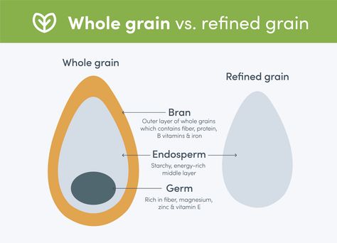 Whole grain vs. refined grain Fiber Rich, Vitamin B, Vitamin E, Need To Know, Vitamins, Energy, Nutrition