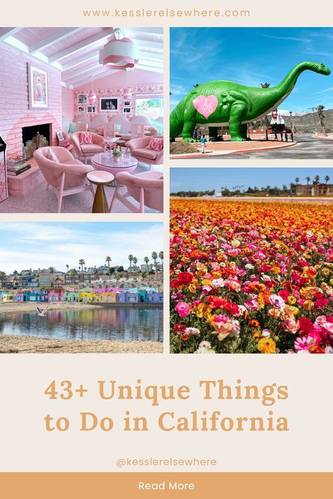 Unique Things to Do in California (that you probably don't know about!) Find unique things to do in California that you may not have heard of before! From a garden estate to animatronic dinosaurs to a butterfly preserve, there is no shortage of unique California activities on this list. #californiatravel #californiaitinerary #southerncalifornia #northerncalifornia #californiatrips Things To Do In Escondido California, California Things To Do, Things To Do In Southern California, California Activities, 50 States Travel, Palmdale California, Things To Do In California, Compton California, California With Kids