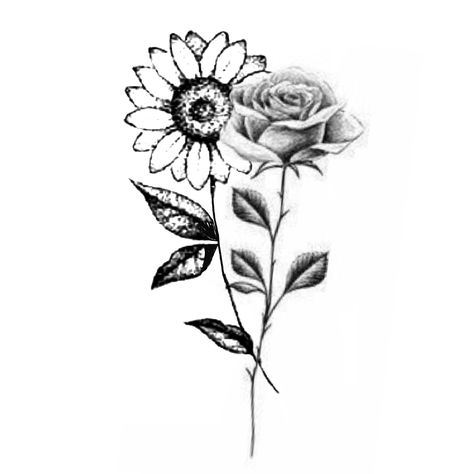 Sunflower Rose Tattoo Small, Sunflower Rose Drawing, Sunflower Rose Bouquet Tattoo, Small Rose And Sunflower Tattoo, Rose And Daisy Tattoo Small, Roses And Sunflowers Tattoo, Sunflower Rose Tattoo, Daisy And Rose Tattoo, Rose And Sunflower Tattoo