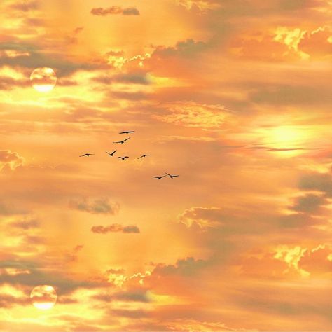 Sky With Birds, Grafika Vintage, Gold Sunset, Iphone Wallpaper Yellow, Yellow Aesthetic Pastel, Affiches D'art Déco, Hufflepuff Aesthetic, Yellow Theme, Image Nature