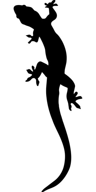 Free Image on Pixabay - Animal, Gecko, Lizard, Reptile Silhouette Arte, Gecko Wall Art, Lizard Tattoo, Silhouette Tattoos, Silhouette Stencil, Image Icon, Silhouette Art, Silhouette Svg, Gecko