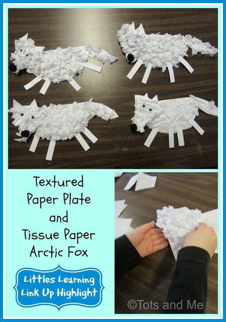 Tots and Me... Growing Up Together: Littles Learning Link Up: January 15, 2019: Craft Highlight- Textured Paper Plate and Tissue Paper Arctic Fox Artic Fox Crafts For Toddlers, Arctic Hare Craft Preschool, Artic Fox Craft For Kids, Arctic Hare Craft, Arctic Fox Craft, Animals Eyfs, Early Preschool, Polo Nord, Preschool Assessment