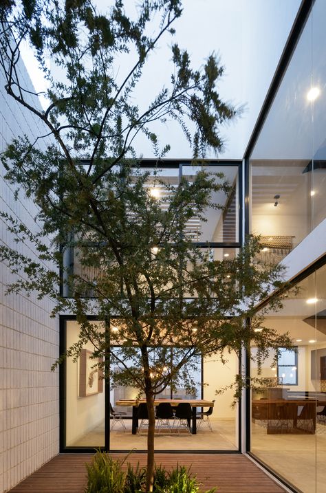 Ten homes centred around bright interior courtyards Courtyard Plants, نباتات منزلية, Modernist House, Glazed Walls, Courtyard House Plans, Internal Courtyard, Narrow House, Rooftop Patio, House Photography