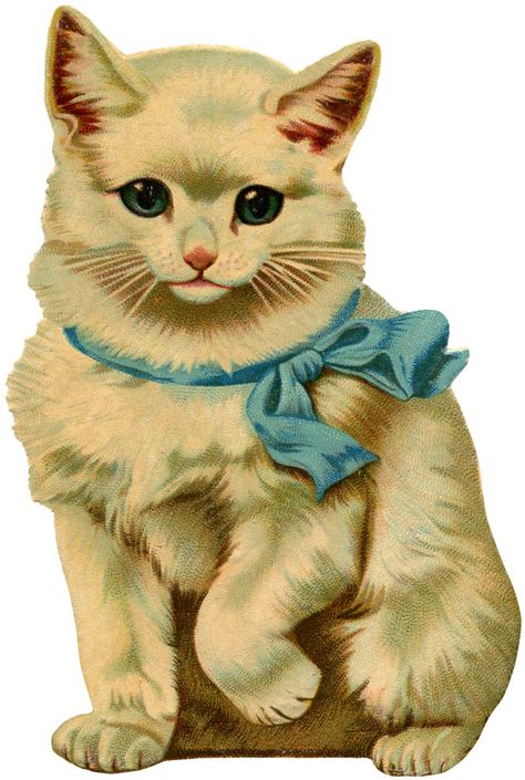 12+ Beautiful Vintage Kitten and Cat Pictures! - The Graphics Fairy Victorian Scrap, Söt Katt, Cat Clipart, Adorable Kitten, Kitten Pictures, Images Vintage, Retro Cats, Clip Art Vintage, Illustration Vintage