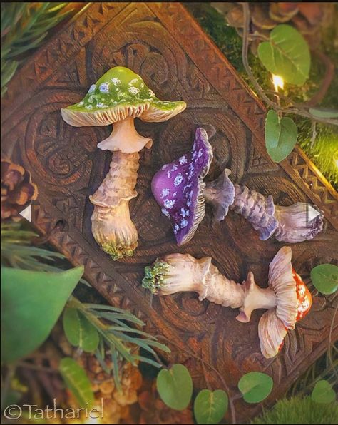 Mushroom Collection, Clay Mushrooms, Mushroom Crafts, Clay Making, Witchy Crafts, Clay Diy Projects, Mushroom Decor, Clay Art Projects, Mushroom Art