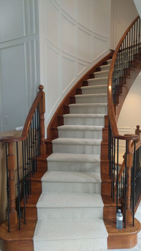 Runner On Curved Stairs, Stairs Carpet Ideas, Staircase Curved, Stairs Curved, Runner Stairs, Rugs Layout, Curved Stairs, Stairs Carpet, Staircase Runner