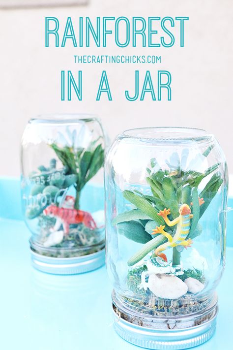 Rainforest in a jar - such a fun kids craft for summer! Rainforest Crafts, Jungle Crafts, Vbs Crafts, Diy Spring, Rain Forest, Camping Crafts, Fun Crafts For Kids, Mason Jar Crafts, Jar Crafts