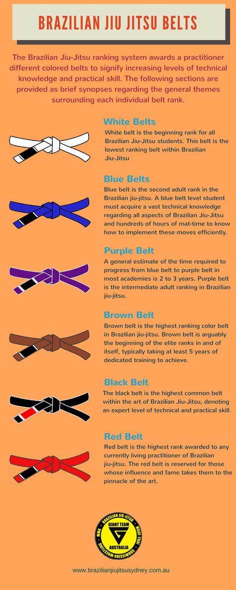 In Brazilian Jiu Jitsu, the belts are the indicator of a players expertise. Belts of different colours like white, blue, purple, brown, black, red are worn by different Brazilian Jiu Jitsu players. A brief introduction regarding the importance of various belts has been offered for the benefit of people who are new to martial arts. Jiu Jitsu Art, Brazilian Jiu Jitsu Belts, Ufc Workout, Jiu Jutsu, Jiu Jitsu Memes, Jiu Jitsu Belts, Mixed Martial Arts Training, Jiu Jitsu Techniques, Martial Arts Belts