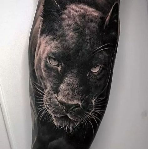 Panther Tattoos: Meanings, Tattoo Designs & Ideas Panther Tattoo Meaning, Panther Tattoos, Traditional Panther Tattoo, Noir Tattoo, Adler Tattoo, Gangster Tattoo, Jungle Tattoo, Black Panther Tattoo, Big Cat Tattoo