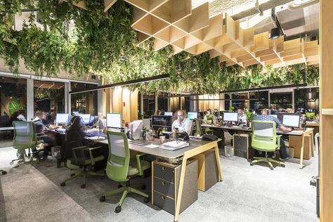 Forest Office, Biofilic Design, Office Nature, Digital Forest, Nature Office, Office Inspiration Workspaces, Biophilic Architecture, Green Office, H Design