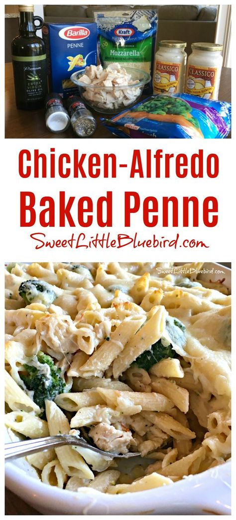 Broccoli Alfredo Sauce, Penne Casserole, Simple Chicken Alfredo Recipe, Comfort Food Casserole, Alfredo Pasta Bake, Chicken Alfredo Bake, Chicken Broccoli Alfredo, Baked Penne, Pasta Alfredo