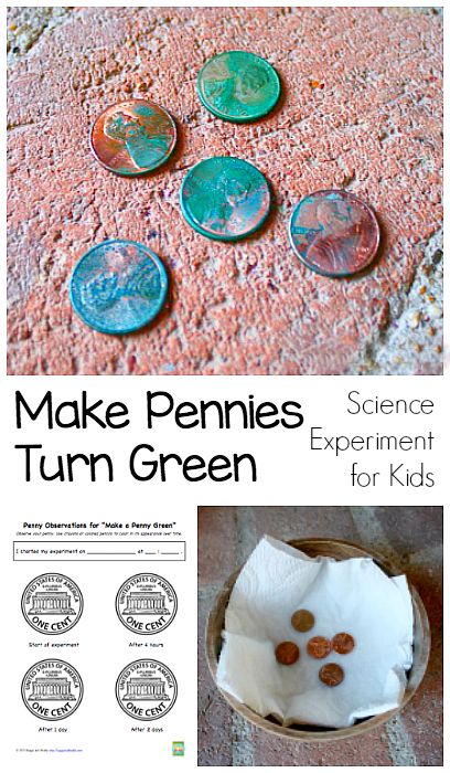 Science Experiments for Kids: How to make a penny green. Science Experience, Science Experiment For Kids, Science Camp, Experiment For Kids, Summer Science, Kid Science, Science Crafts, Kid Experiments, Science Activities For Kids