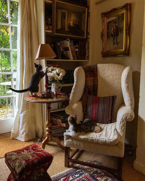 English Decor, Two Cats, Cottage Interiors, Home Library, Cozy Space, A Chair, Cottage Decor, Home Fashion, 인테리어 디자인