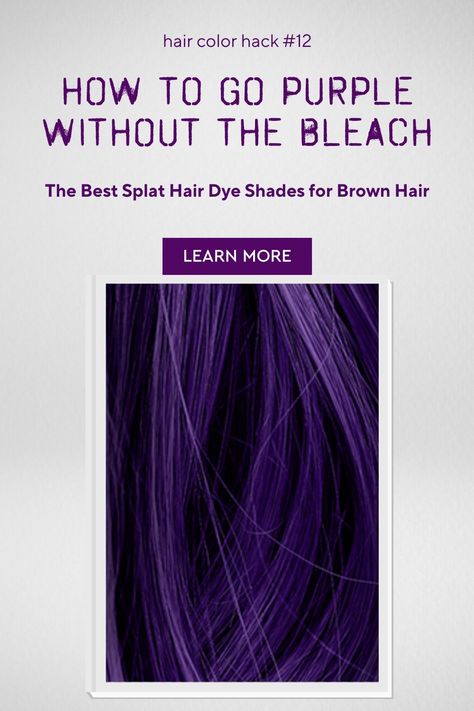 Dark Bright Purple Hair, Diy Purple Hair At Home, Dark Hair With Purple Highlights, Purple Tinted Hair, Dark Purple Hair Dye, Midnight Purple Hair, Yellow Undertone Skin, Permanent Purple Hair Dye, Purple Highlights Brown Hair