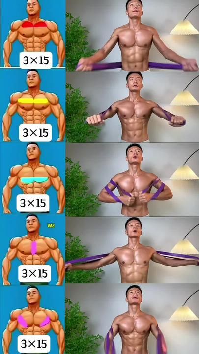 Chest At Home Workout, Big Chest Workout, Lower Workout, Chest Exercise, Exercise Moves, Chest Workout Routine, Speed Workout, Upper Abs, Pectoral Muscles