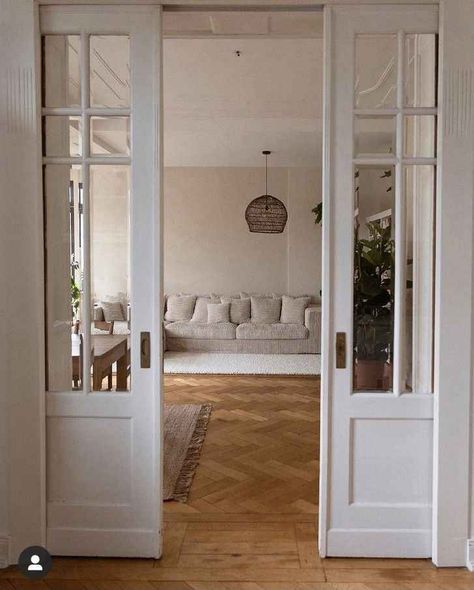 Google Lens Living Room Double Doors, Idea For Room, Pocket French Doors, French Pocket Doors, Window Seat Ideas, Interior Pocket Doors, Sunroom Remodel, Pantry Door Ideas, Sliding Doors Internal