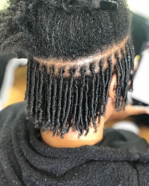 small starter locs • Instagram Small Loc Parting, Starter Locs Small Parts, Extra Small Starter Locs, Tiny Locs Natural Hairstyles, Medium Small Locs, Short Comb Coil Starter Locs, Starter Locs Comb Coil, Small Locs Starter, Small Starter Locs Black Women