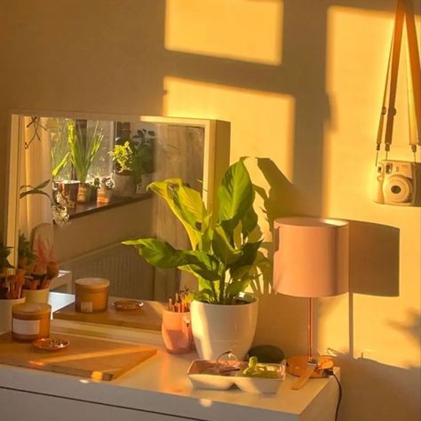 🌟💛💫✨🌞🌼🌙☀️⭐🐤🍋🥂🧈🎗️🪔🕯️👑#yellow Sleeping Aethestic, Light Yellow Room Aesthetic, Bedroom Aethestic, Yellow Aesthetic Room, Sunlight Room, 3 Tier Plant Stand, Display Ladder, Tier Plant Stand, Golden Hour Aesthetic