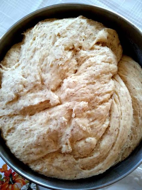 Amish Honey Wheat Bread, Amish Raisin Bread, Red Wheat Bread Recipe, Hard Red Wheat Bread Recipe, Amish Whole Wheat Bread Recipe, Amish Wheat Bread Recipe, Best Honey Wheat Bread Recipe, Amish Recipes Authentic, Amish Meals