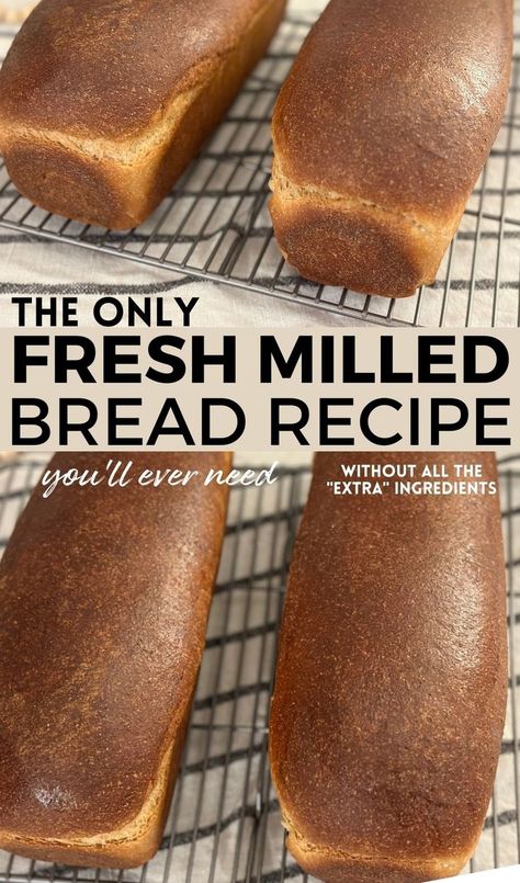 Two loaves of fresh milled wheat bread cooling on wire rack with text "The only fresh milled bread recipe you'll ever need- without all the extra ingredients". Fresh Milled Flour Bread Machine Recipe, Wheat Berry Bread Recipe, Sandwich Loaf Recipe, Zojirushi Bread Machine, Fresh Milled Flour, Sandwich Bread Recipe, Perfect Sandwich, Bread Machine Recipe, Sandwich Loaf