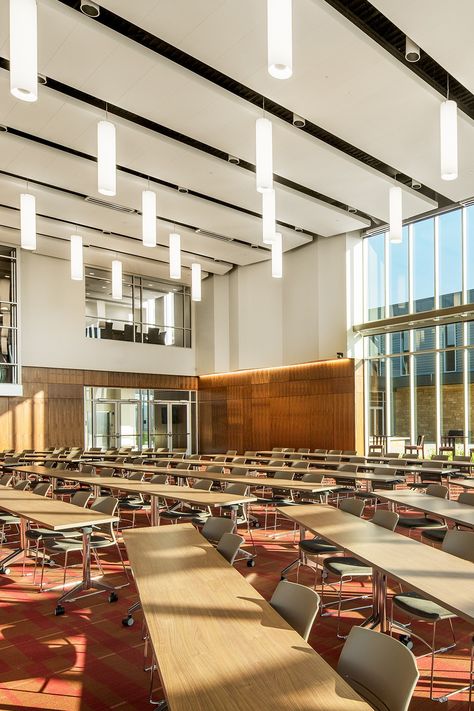 White smooth ceilings with hanging lights fill a lecture hall with brightness Modern Lecture Hall, Lecture Hall Design, College Lectures, Lecture Room, Lecture Hall, Lectures Room, Multipurpose Hall, Acoustic Design, Lectures Hall