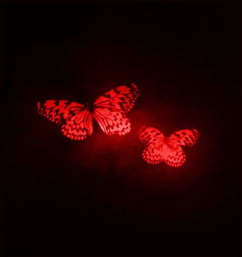 joeleneybeaney: I saw this gif in black and white and it reminded me of Fatal Frame II: Crimson Butterfly so I had to make it red. Butterfly Gif, Animiertes Gif, Fatal Frame, Sense Of Life, Red Butterfly, Gothic Aesthetic, Arte Sketchbook, White Butterfly, Aesthetic Gif