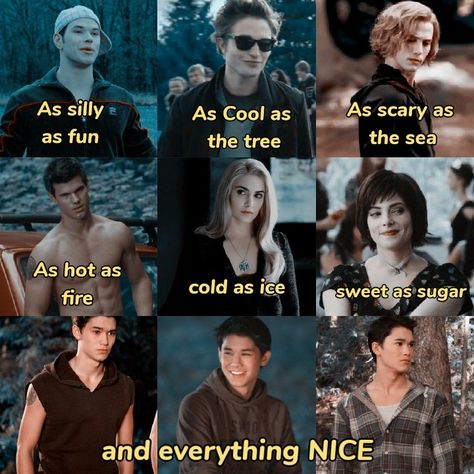 Seth Clearwater Edit, Twilight Seth Clearwater, Seth Clearwater Aesthetic, Seth Twilight, Quileute Pack, Seth Clearwater, Sam Uley, Jasper Twilight, Twilight Wolf Pack