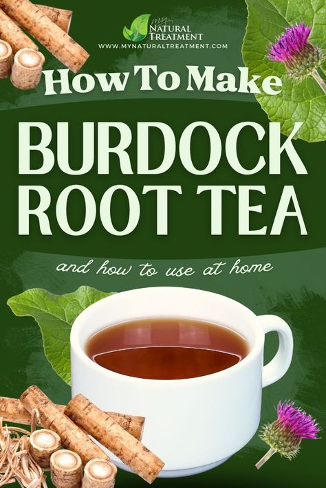 How to Make Burdock Root Tea and Use at Home #burdock #burdockroot #burdockroottea #burdockrootuses #burdocktea #burdockteaeuses #burdocktearerecipe #burdockdecoct #burdockdecoction #arctiumlappa Burdock Root Salve, Burdock Tea Benefits, Burdock Root Tea Recipes, How To Use Burdock Root, Burdock Root Tea Benefits, Burdock Root Recipes, Burdock Root Benefits, Burdock Tea, Root Recipes