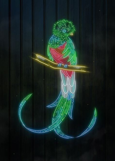 Neon Jungle animal illustrations by Andreas Preis on Behance  #neon #jungle #exotic #animalart #illustration Neon Jungle Aesthetic, Disco Jungle, Jungle Disco, Neon Animals, Ginger Bug, Animal Photoshoot, Neon Jungle, Neon Flex, Adobe Fresco