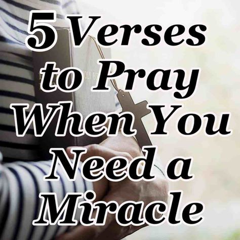 Verses To Pray, Counting My Blessings, Always Remember Me, My Blessings, Miracle Prayer, Prayer Verses, Prayer Board, Prayer Scriptures, Faith Prayer