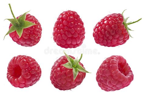 Raspberry Reference Photo, Raspberry Widget, Raspberry Reference, Raspberry Drawing, Raspberry Images, Raspberry Art, Fruit Art Drawings, Zine Design, Raspberry Fruit