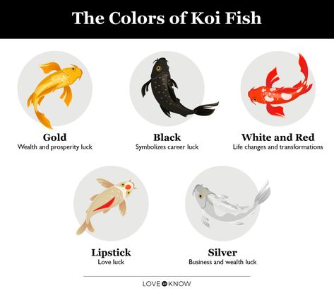 Fish Tattoo Meaning, Pez Koi Tattoo, Koi Fish Tattoo Meaning, Feng Shui Fish, Koi Tattoos, Coy Fish Tattoos, Red Koi Fish, Koi Fish Colors, Black Koi Fish