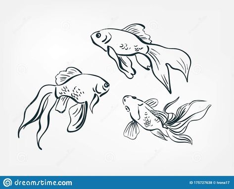 Illustration about Goldfish set collection japanese chinese oriental vector ink style design elements. Illustration of animal, beauty, monochrome - 175727638 Drawing Goldfish, Chinese Goldfish, Goldfish Drawing, Goldfish Tattoo, Goldfish Art, Japanese Fish, Animal Stencil, Elements Illustration, Tattoo Now