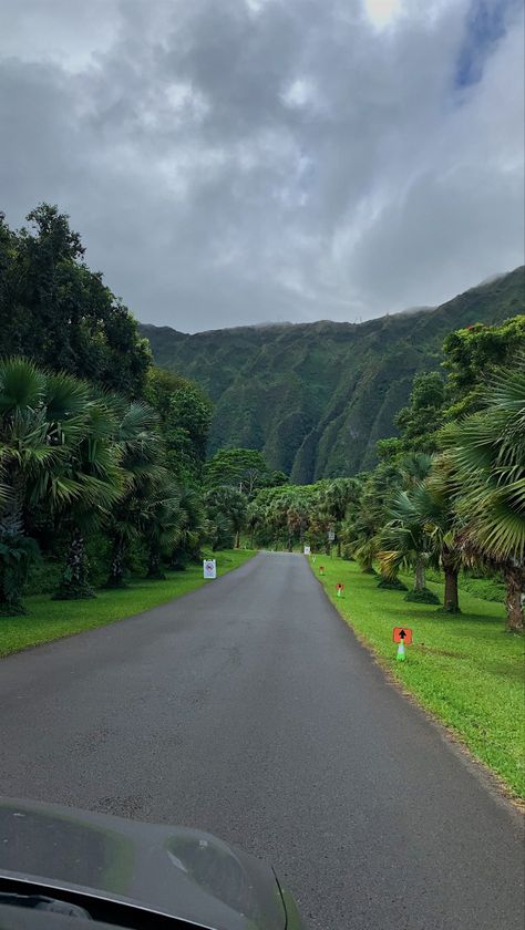 driving down a botanical garden Hawaii Nature Aesthetic, Hawaii Mountains Aesthetic, Rainy Hawaii, Hawaii Rain, Hawaii Life Aesthetic, Hawaiian Mountains, Hawaii Scenery, Cloudy Nature, Hawaii Wallpaper