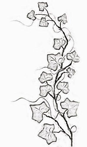 Ivy Cool Cross Tattoos, Jasmine Tattoo, Ivy Tattoo, Vine Drawing, Aztec Tattoos, Wrap Around Tattoo, Bauch Tattoos, Simple Tattoos For Guys, Ivy Vine