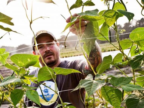 Sean Brock's Favorite Cookbooks Broken Knee, Edna Lewis, Sean Brock, How To Cook Grits, Southern Cookbook, The French Laundry, Modern Farmer, River Cottage, Favorite Cookbooks