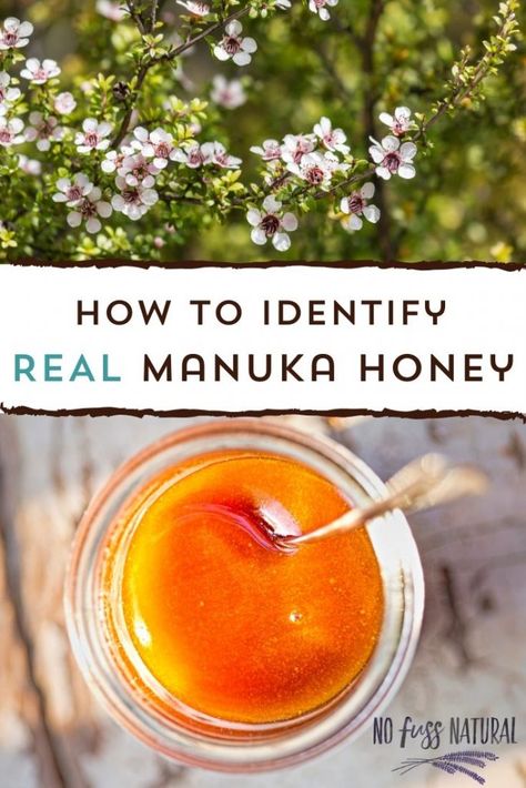 What is Manuka Honey? UMF, MGO, and More - No Fuss Natural Manuka Tree, Manuka Honey Benefits, Harvesting Honey, Types Of Honey, Dry Mixes, Honey Label, Eastern Medicine, Honey Diy, Complementary Medicine