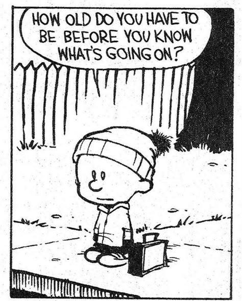 a la Calvin and Hobbes and also @ saint #existentialism #philosophy #calvinandhobbes Calvin And Hobbes Humor, Best Calvin And Hobbes, Brain Wash, Calvin And Hobbes Quotes, Calvin Y Hobbes, Psych Major, Grad Quotes, Calvin And Hobbes Comics, Snoopy Cartoon