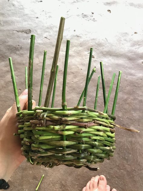 How To Make A Willow Basket, Diy Basket Weaving, Vbs Craft, Sweetgrass Basket, Lavender Crafts, Weaving For Kids, Basket Weaving Diy, Rustic Baskets, Natural Branches