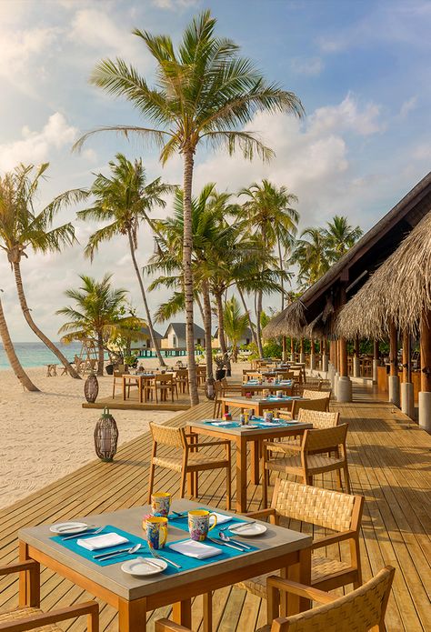 Beach Club Design Architecture, Tropical Beach Restaurant, Beach Restaurant Design Outdoor Seating, Beach Cafe Design, Fushifaru Maldives, Beach Restaurant Design, Beach Resort Design, Chaise Haute Bar, Resort Restaurant