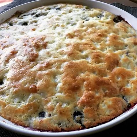 Cottage cheese blueberry bake – Mila's Milieu Fruity Brunch Ideas, Keto Breakfast Bake Recipes, Cottage Cheese Blueberry Roll Muffins, Cottage Cheese Blueberry Bake, Blueberry Cottage Cheese Bread, Blueberry Muffins With Cottage Cheese, Blueberries And Cottage Cheese, Keto Breakfast Cake, Cottage Cheese Cake Gluten Free