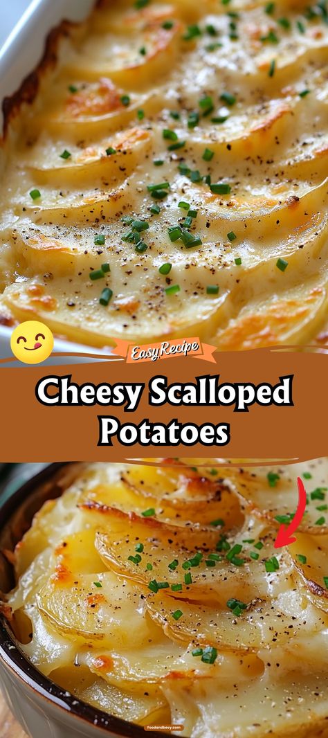 Enjoy the rich and creamy delight of Cheesy Scalloped Potatoes, a perfect side dish featuring thinly sliced potatoes layered with velvety cheese sauce and a hint of garlic. Bake until bubbly and golden for a side that complements any main dish, from roasts to grilled meats. #ScallopedPotatoes #CheesySides #ComfortFood Sliced Cheesy Potatoes, Scalloped Potatoes With Meat, Thinly Sliced Potato Recipes, Cheesy Sliced Potatoes, Ham And Cheese Scalloped Potatoes, Cheesy Garlic Scalloped Potatoes, Scallop Potato Casserole, Easy Scalloped Potatoes Quick, Scalloped Potatoes And Ham Oven