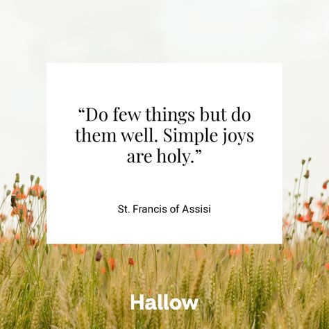 St. Francis of Assisi Quote – Hallow St Francis Quotes, Francis Of Assisi Quotes, Gods Plan Quotes, St Francis Of Assisi, Fabulous Quotes, Saint Quotes Catholic, Simple Joys, Saint Quotes, Francis Of Assisi