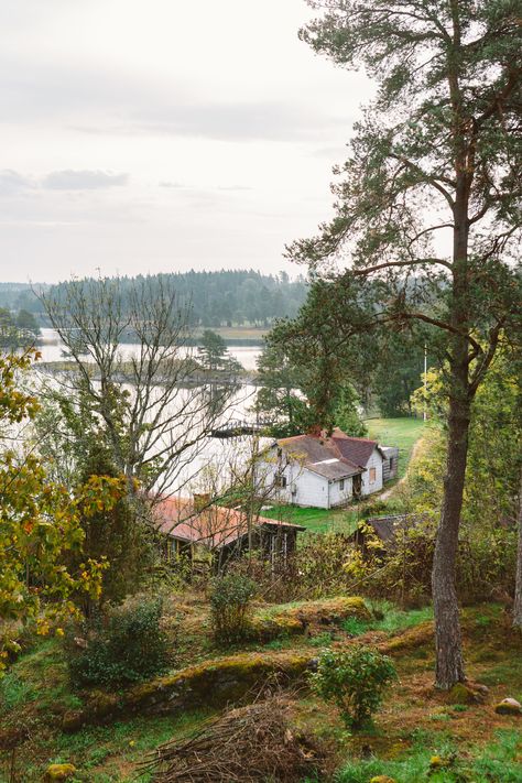 Sweden Countryside, Swedish Countryside, Rp Characters, 4 September, Summer Hike, Dream Places, Country Side, Choose One, Colour Photograph